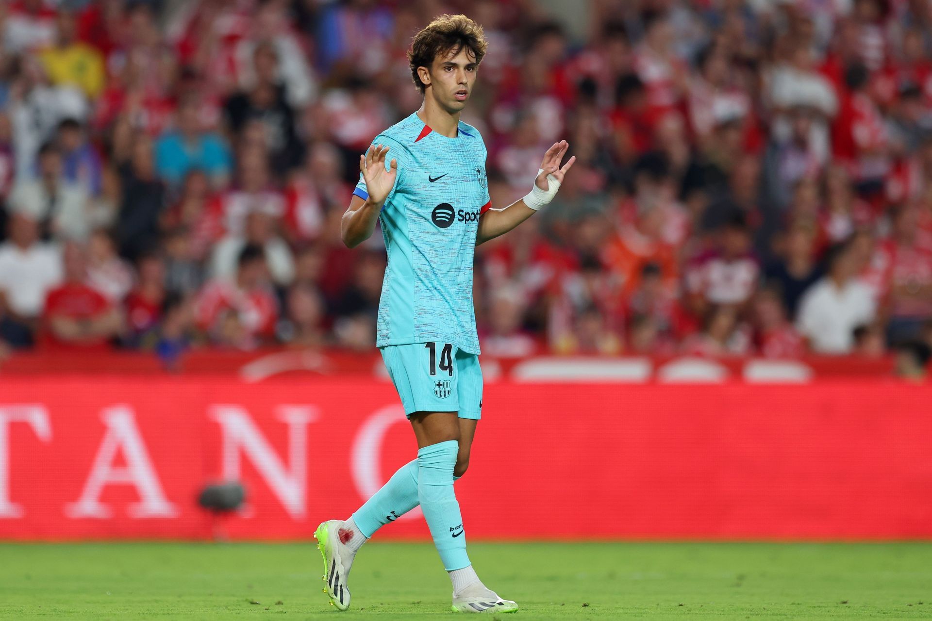 Joao Felix has hit the ground running at the Camp Nou.