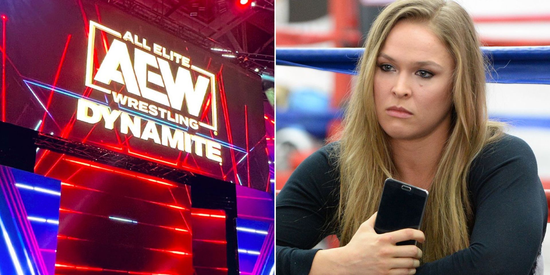 A WWE Hall of Famer thinks Ronda Rousey should join AEW