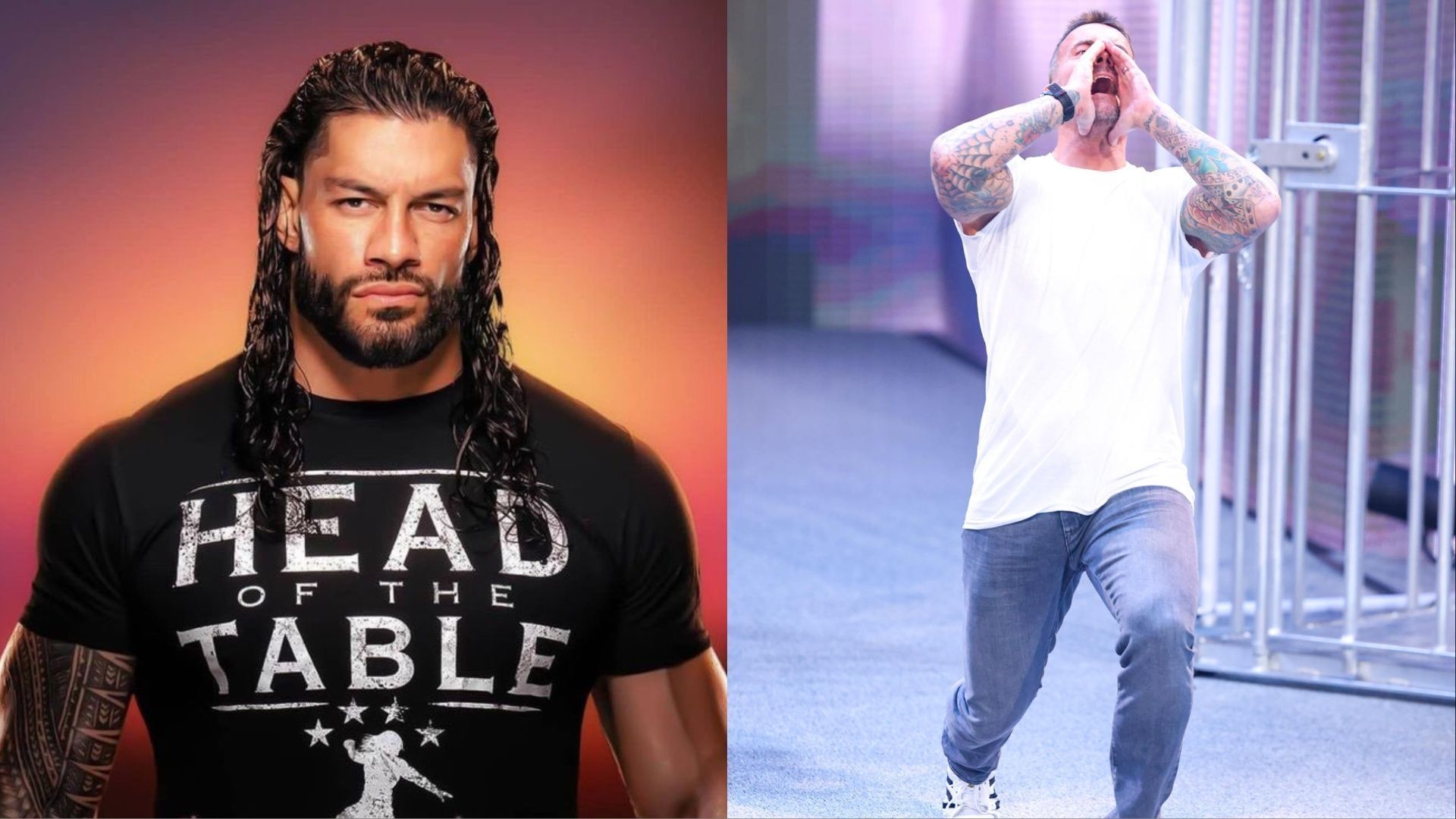 Roman Reigns (left); CM Punk (right)