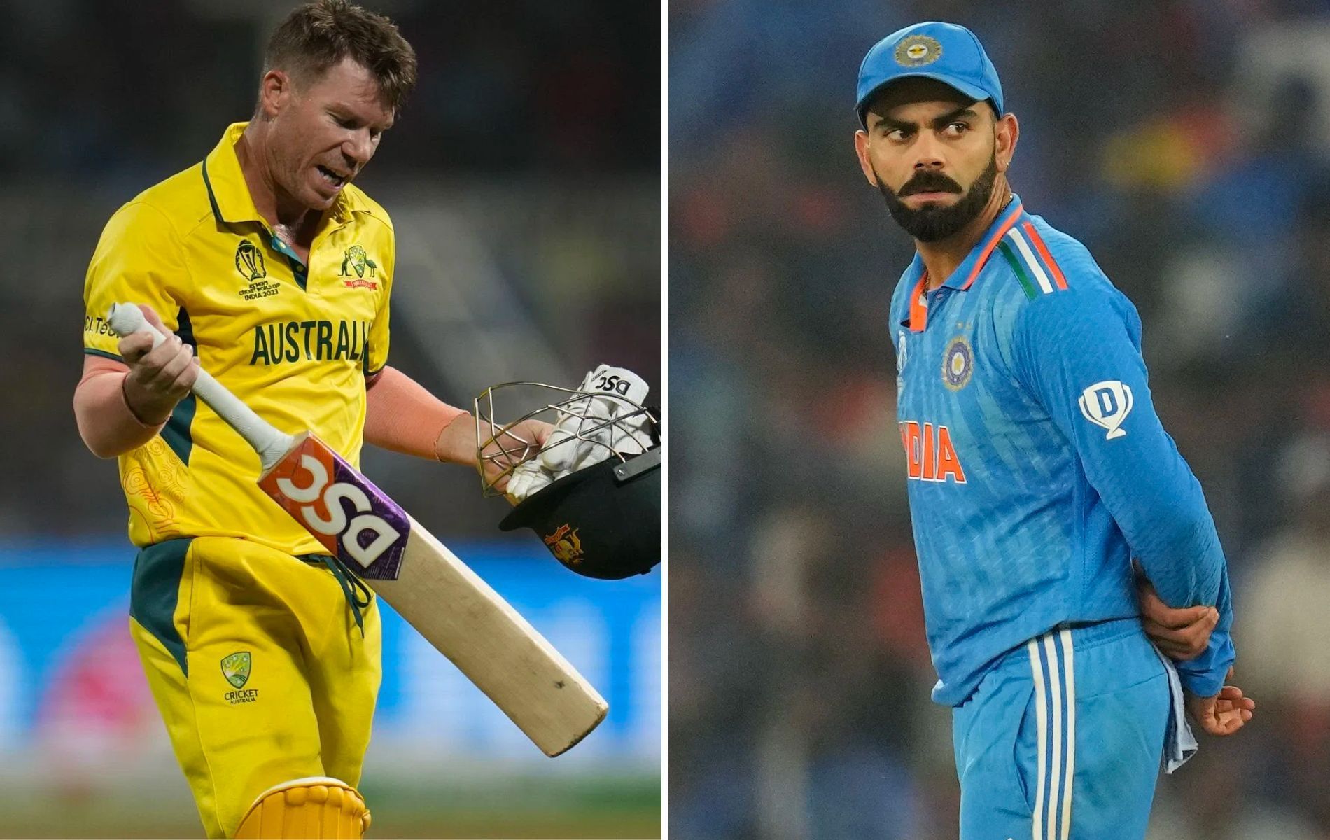 David Warner (L) and Virat Kohli (R). (Pics: AP)