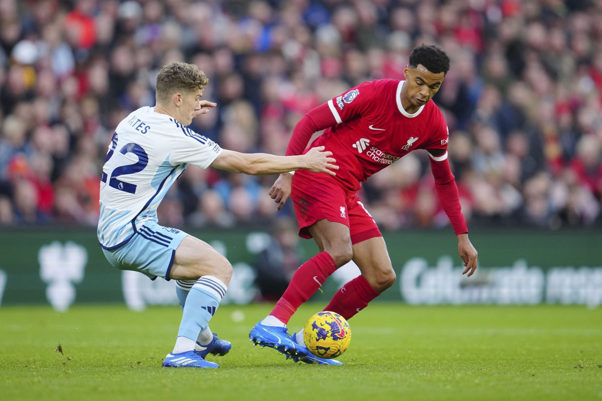 Liverpool striker Cody Gakpo (right)