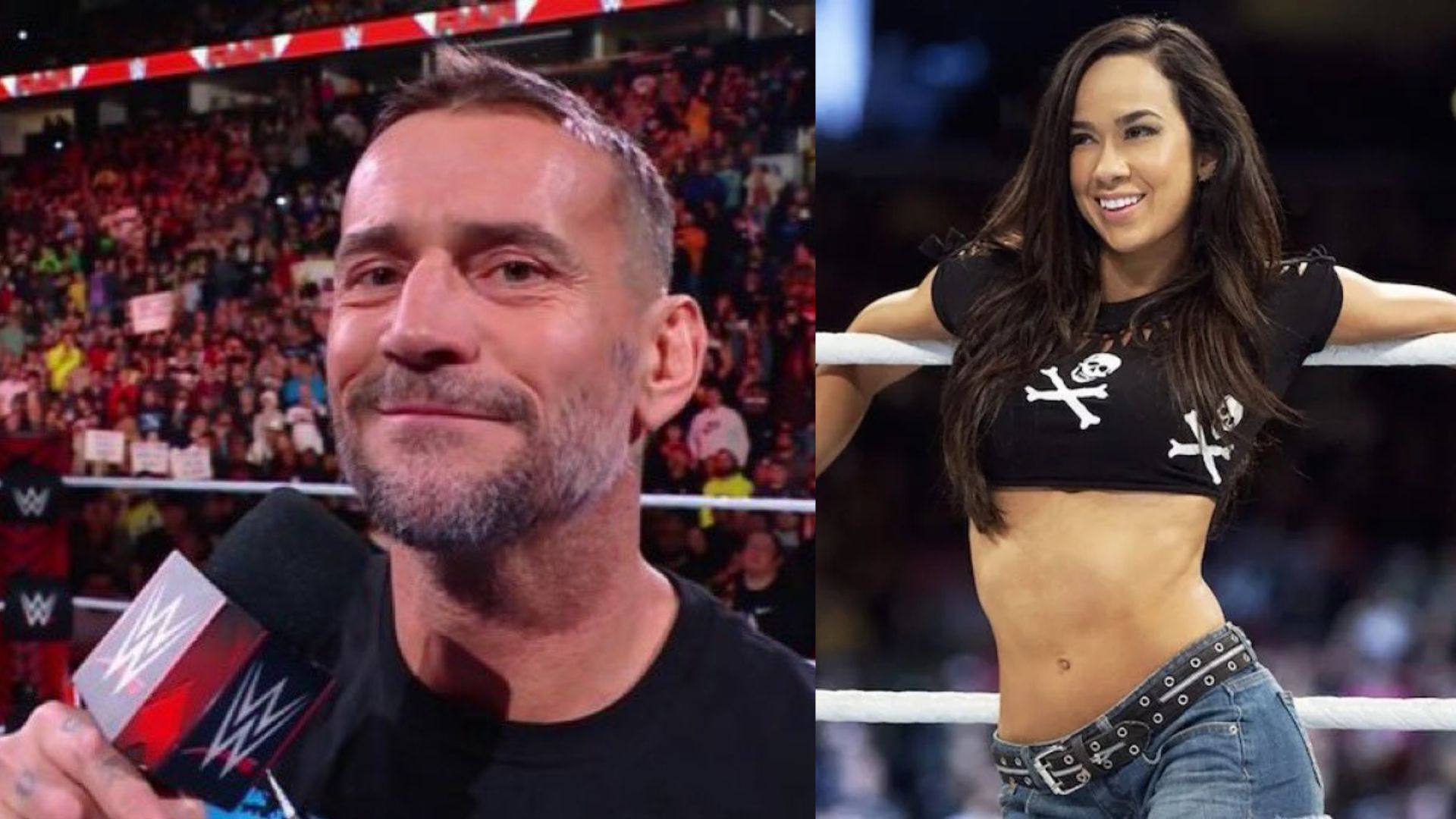 Will CM Punk bring AJ Lee back to WWE?