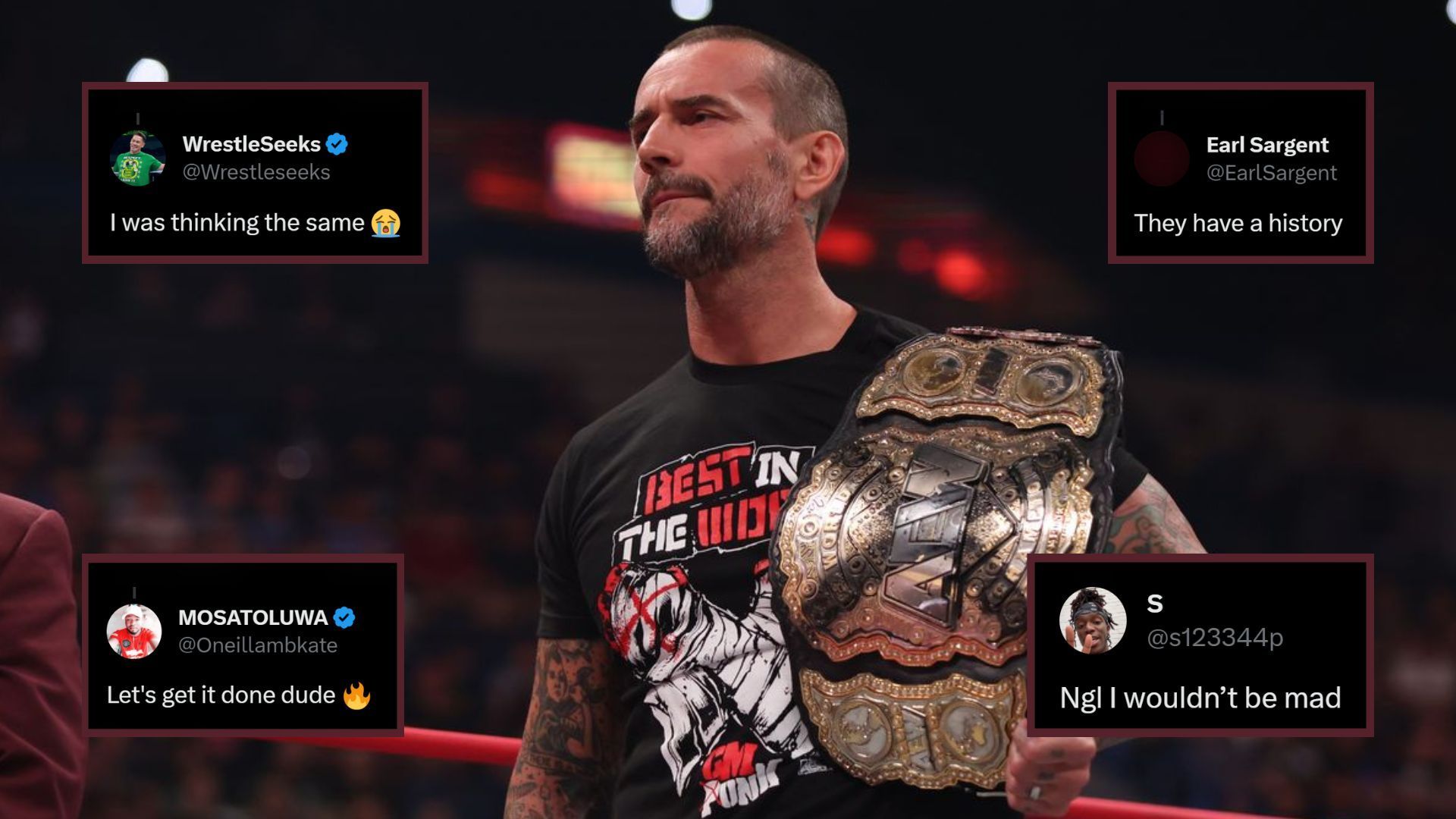 CM Punk is a former WWE Champion!