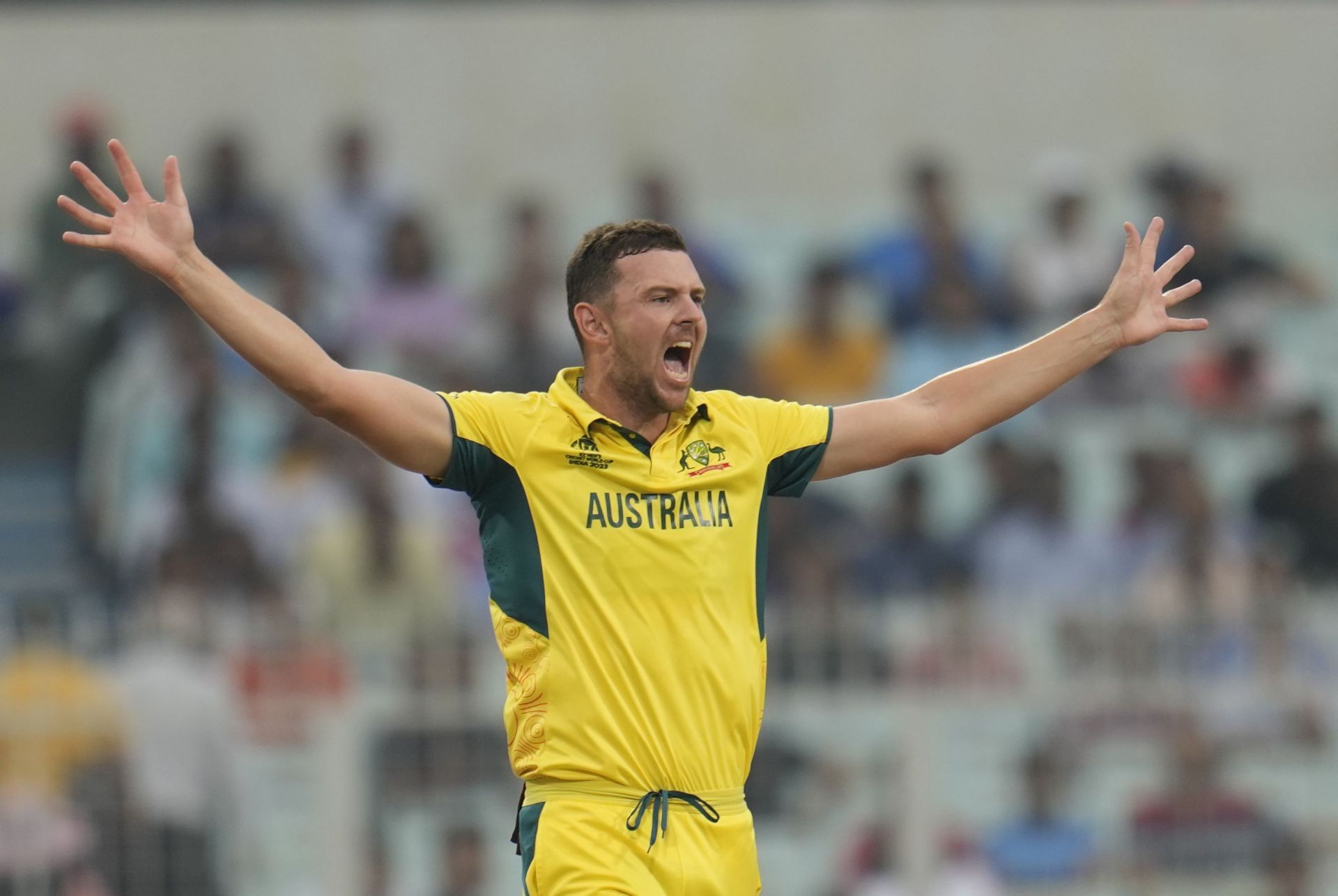 Josh Hazlewood was consistency personified in his first spell