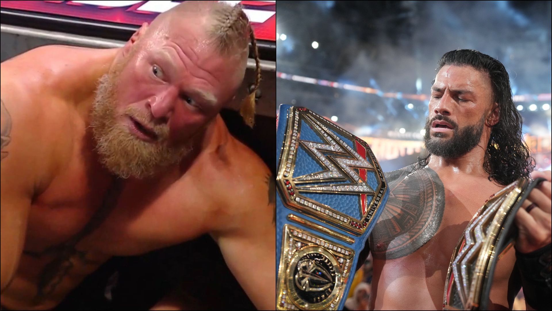 WWE fans have drawn some similaries between Brock Lesnar and Roman Reigns.