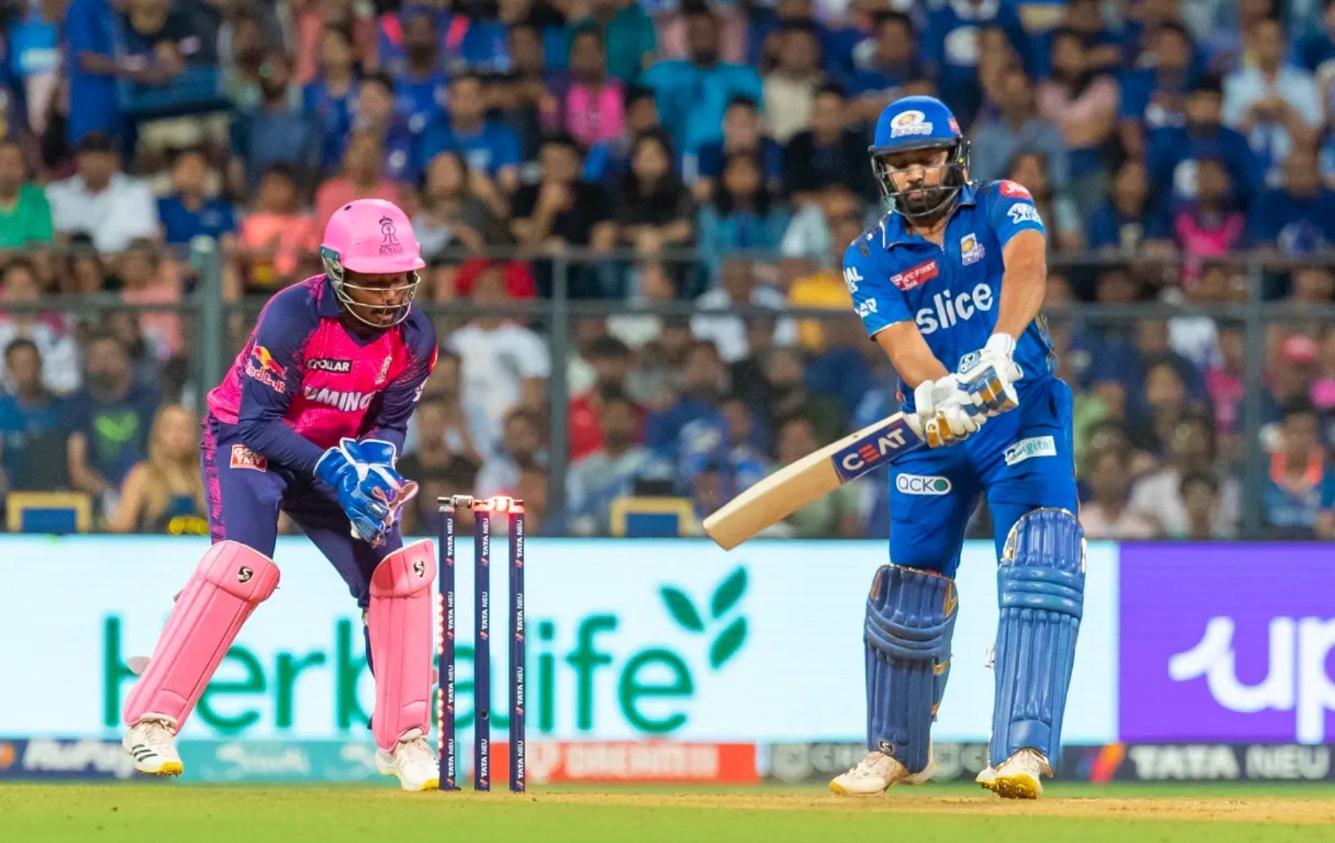 Rohit Sharma getting bowled by Sandeep Sharma during IPL 2023. (Pic: iplt20.com)