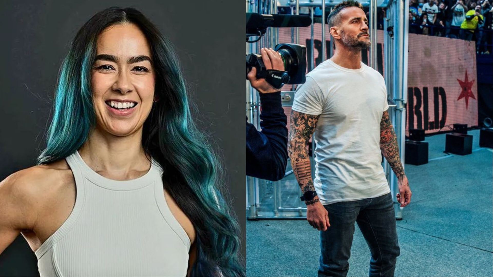 AJ Lee (left); CM Punk (right)