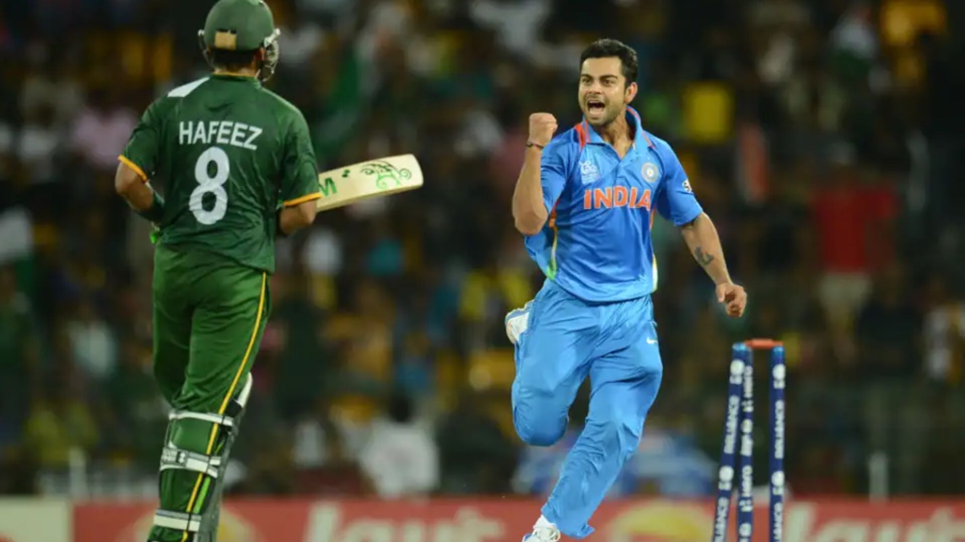 Virat Kohli had dismissed Mohammad Hafeez during the 2012 T20 World Cup (P.C.:Philip Brown)