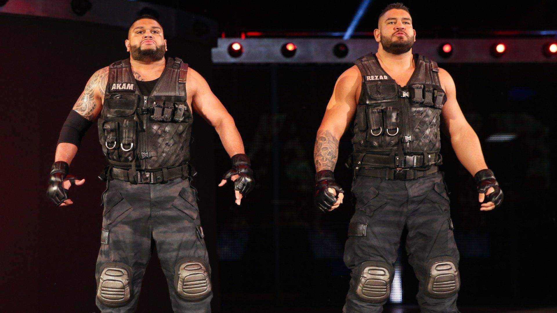 The Authors of Pain