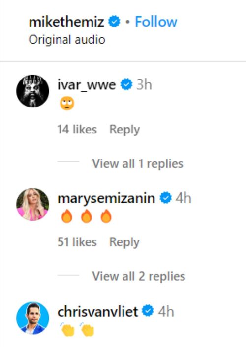 Ivar, Maryse, and Chris Van Vliet commented on The Miz's post.