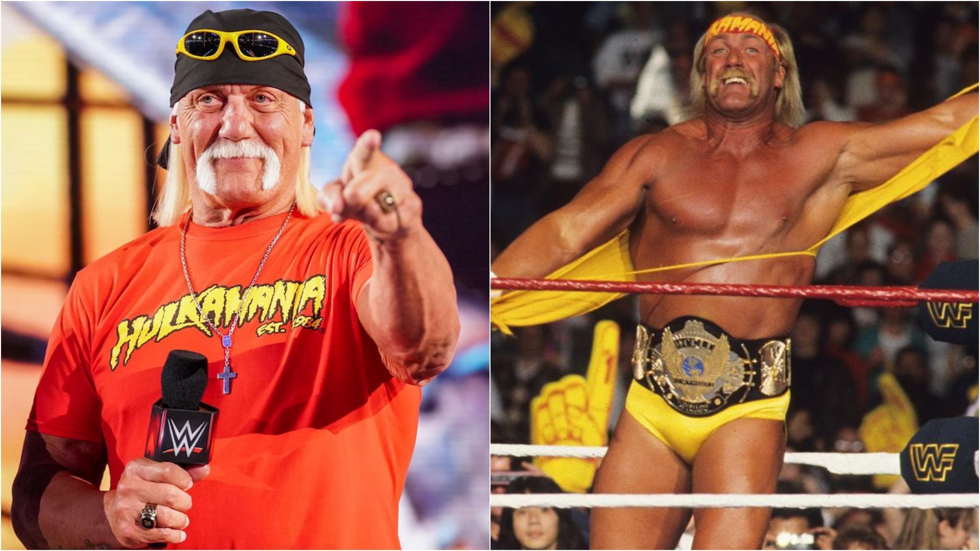 Hulk Hogan was a top star in WWE