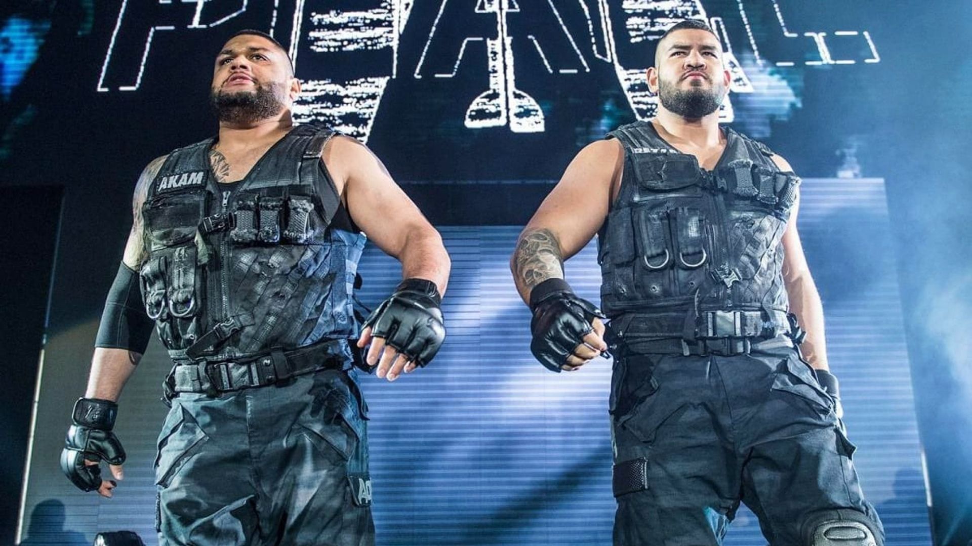 Authors of Pain