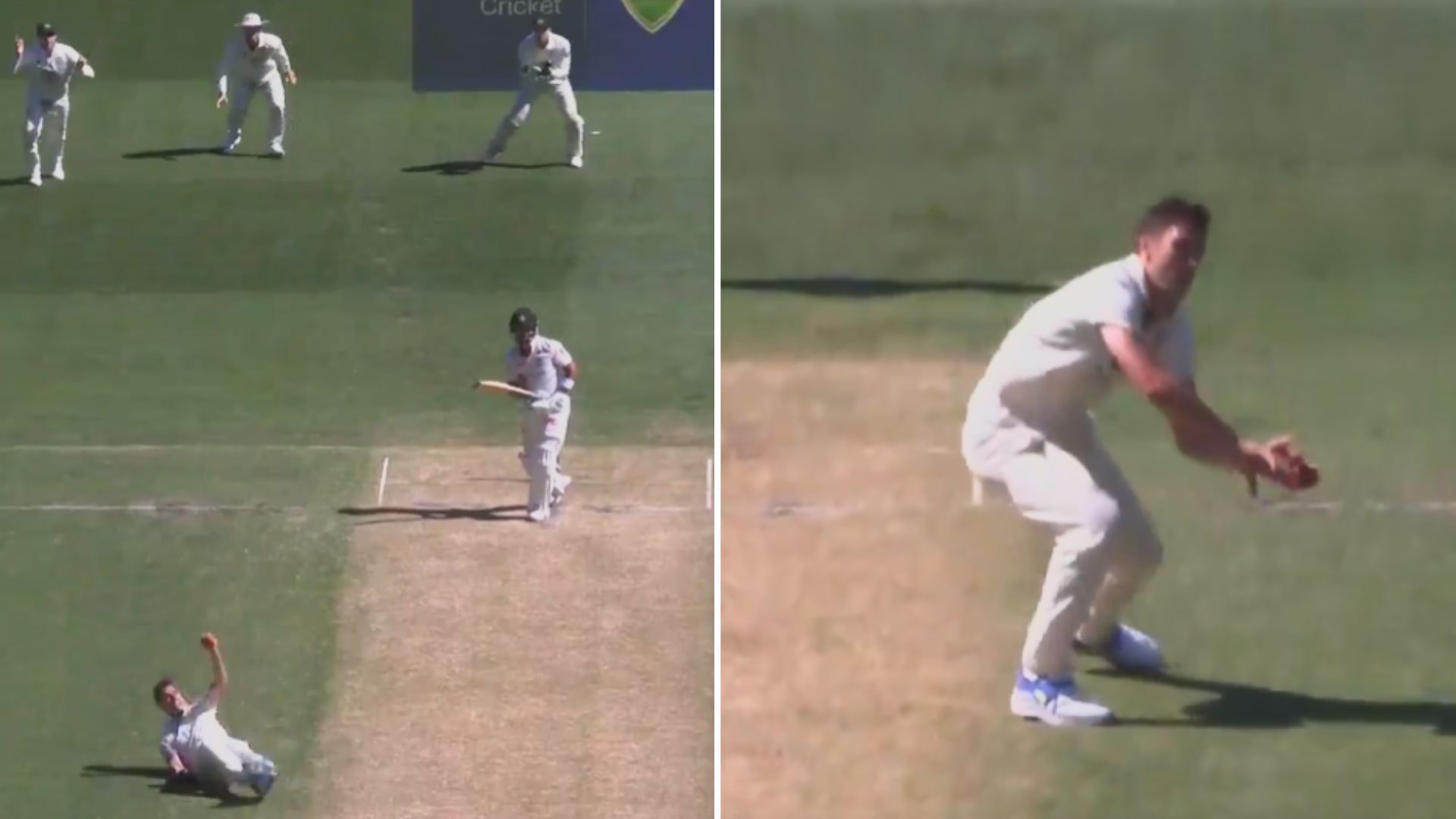 Snippets from a sensational catch by Pat Cummins (P.C.:cricket.com.au)