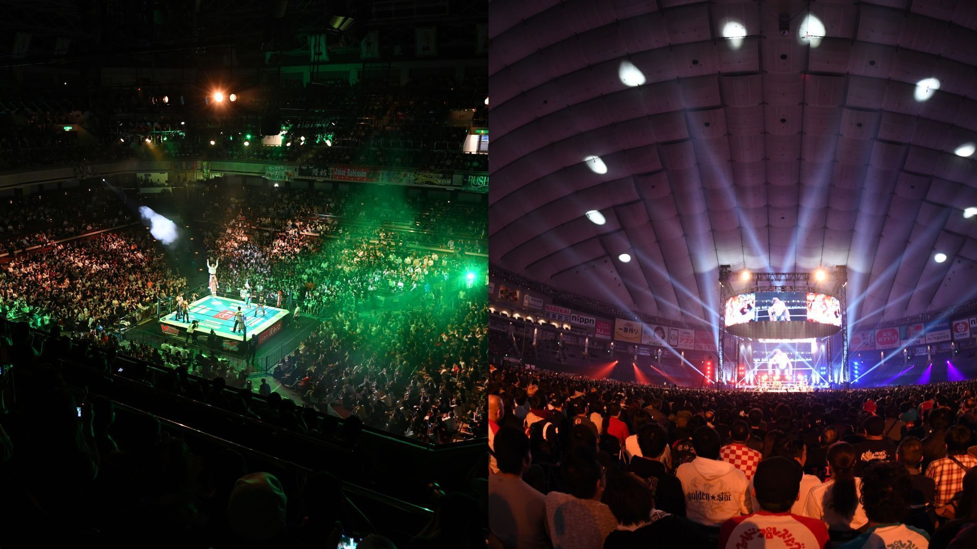 A huge announcement in Japan has rocked the professional wrestling world