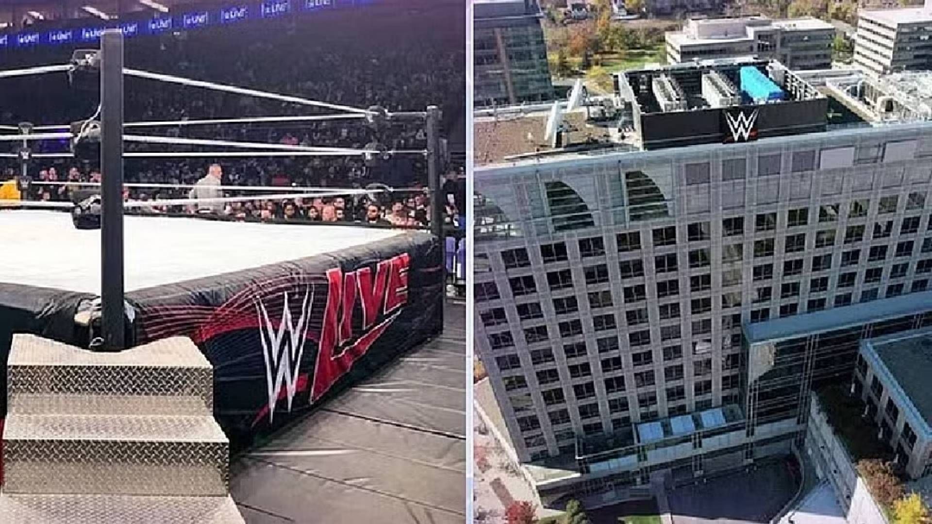 WWE Hq