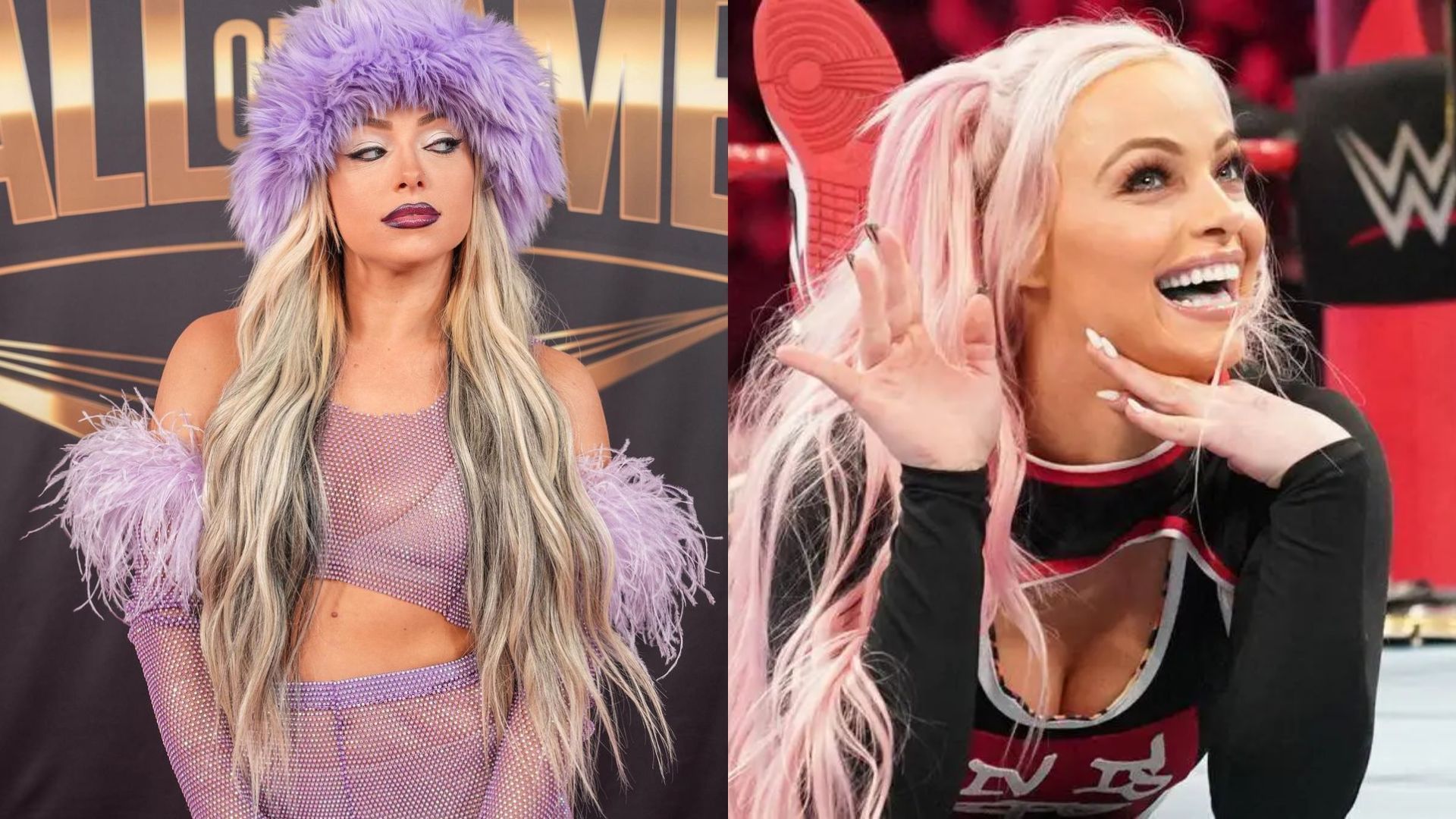 Liv Morgan is currently on a hiatus 