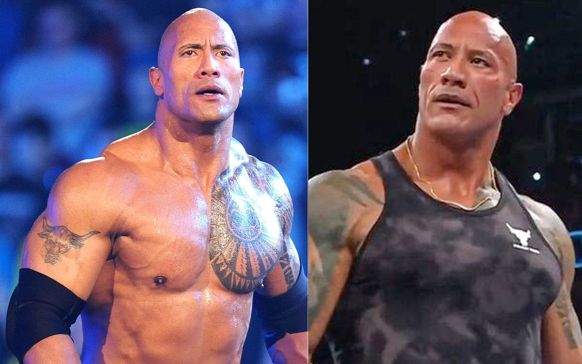 The Rock