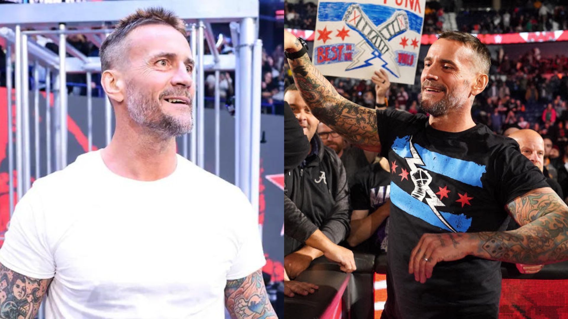 CM Punk returned at the Survivor Series PLE