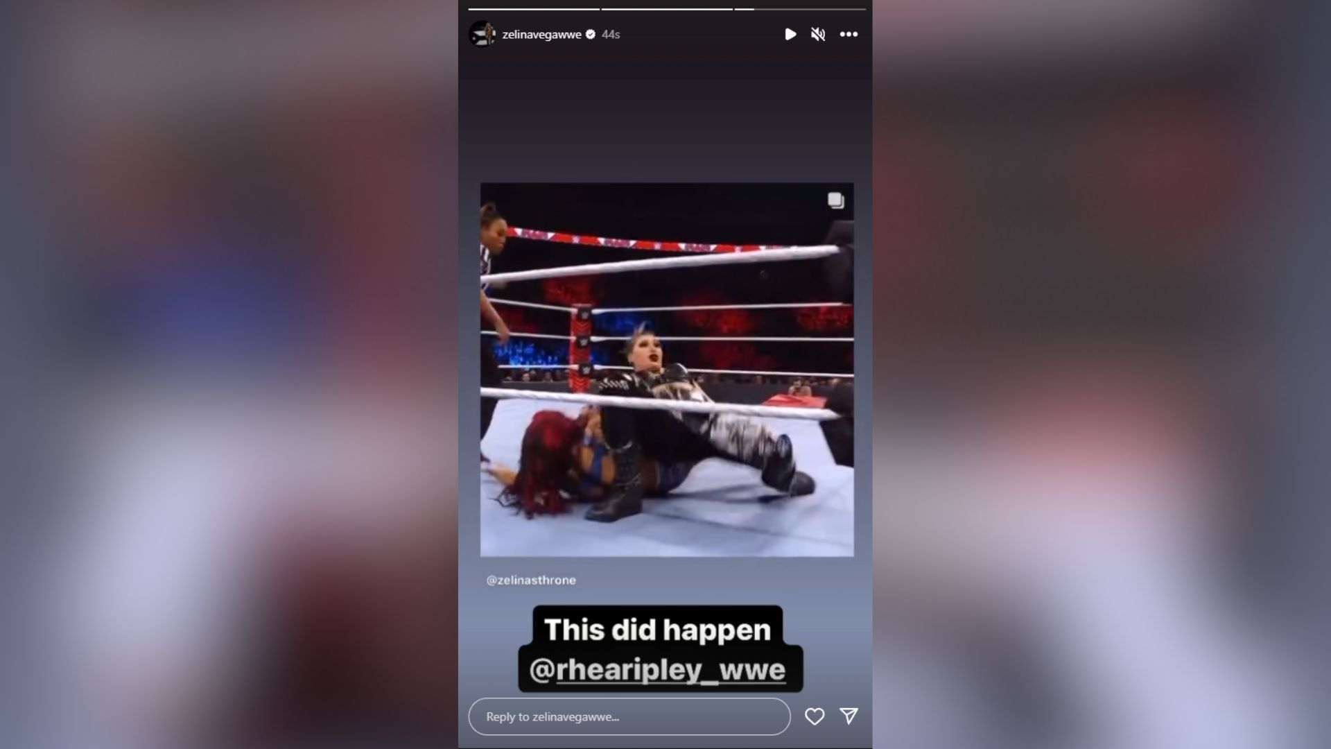 Screenshot of Zelina Vega&#039;s Instagram story.