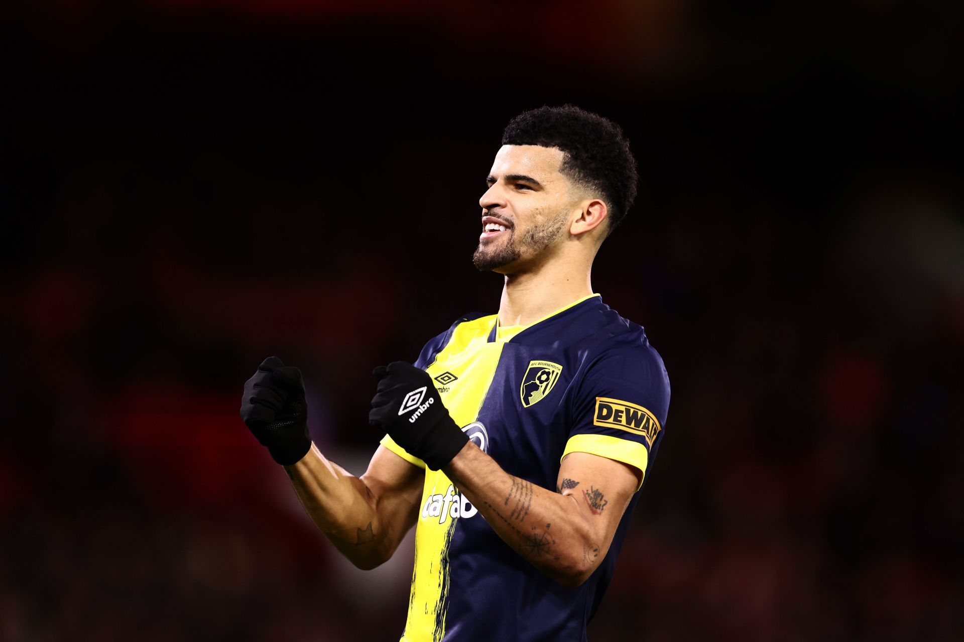 Dominic Solanke could be an option at the Emirates in 2024.