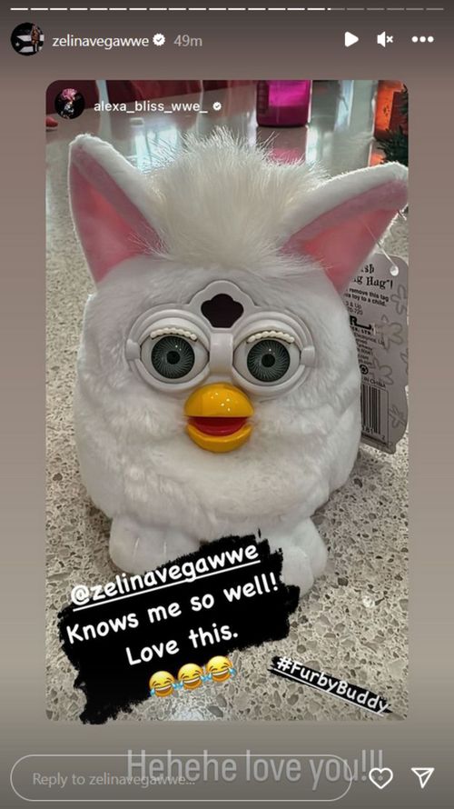 Screenshot of Instagram Stories exchange between Zelina Vega and Alexa Bliss