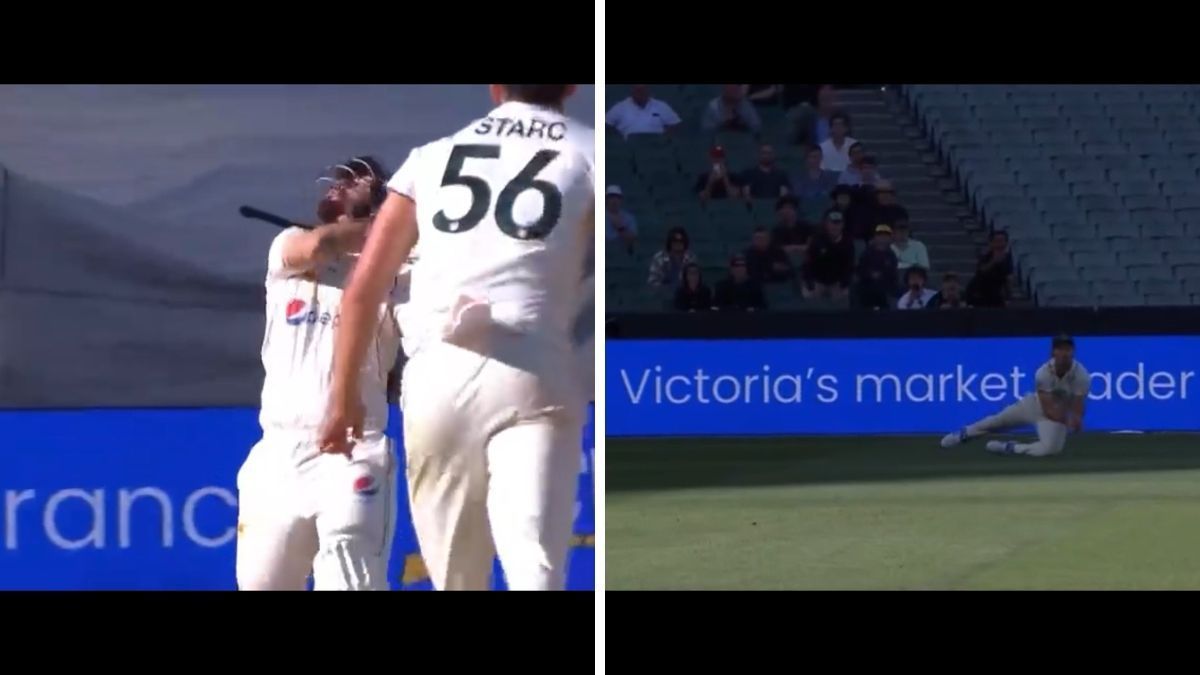 Mitchell Marsh took a sensational diving catch. (Credits: Screengrab)