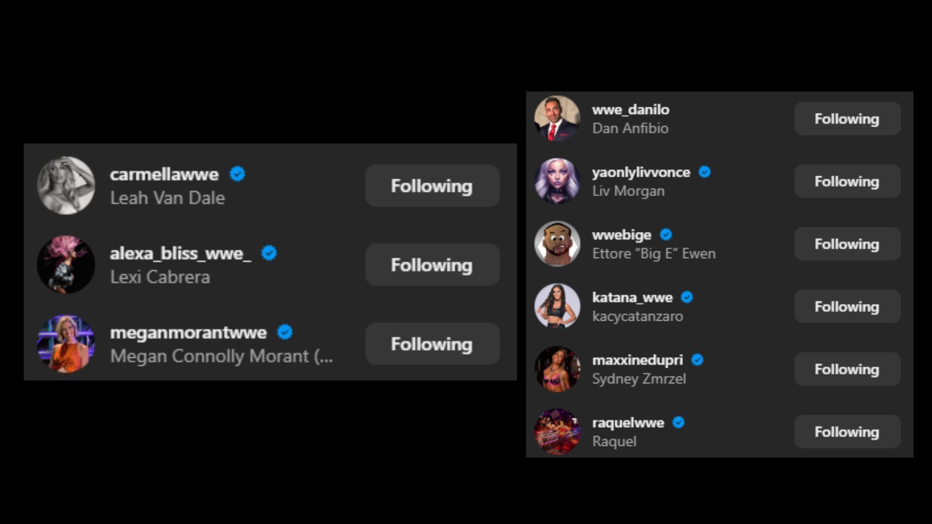 Screenshot of stars&#039; likes on Sonya Deville&#039;s Instagram post