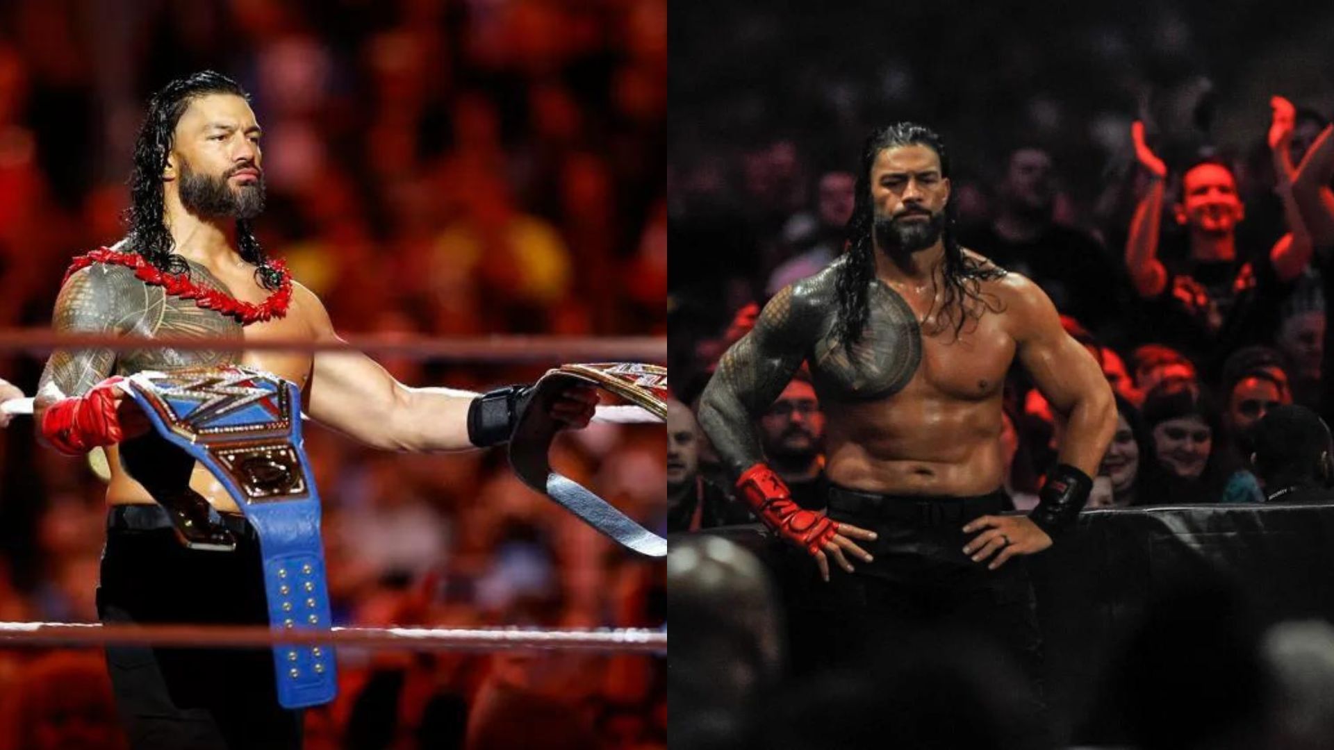 Roman Reigns is the current Undisputed WWE Universal Champion