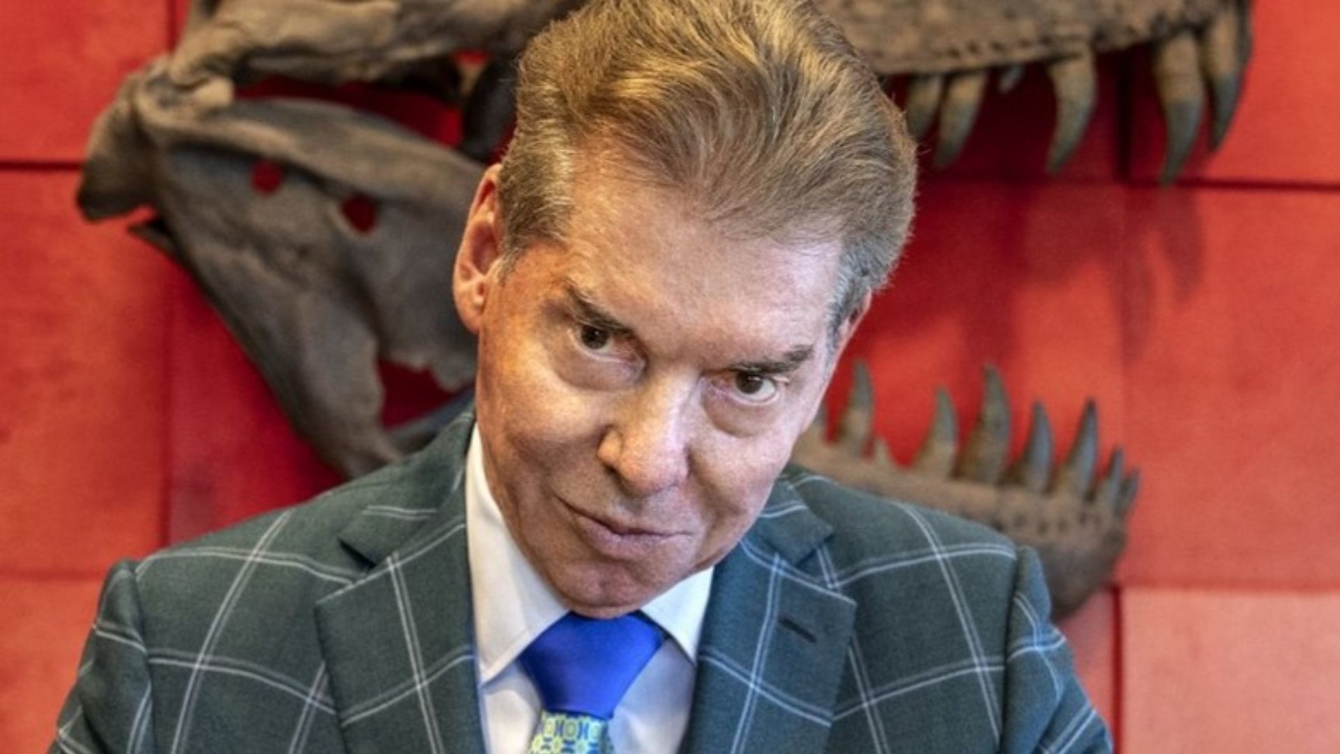 Vince McMahon is a co-founder of WWE