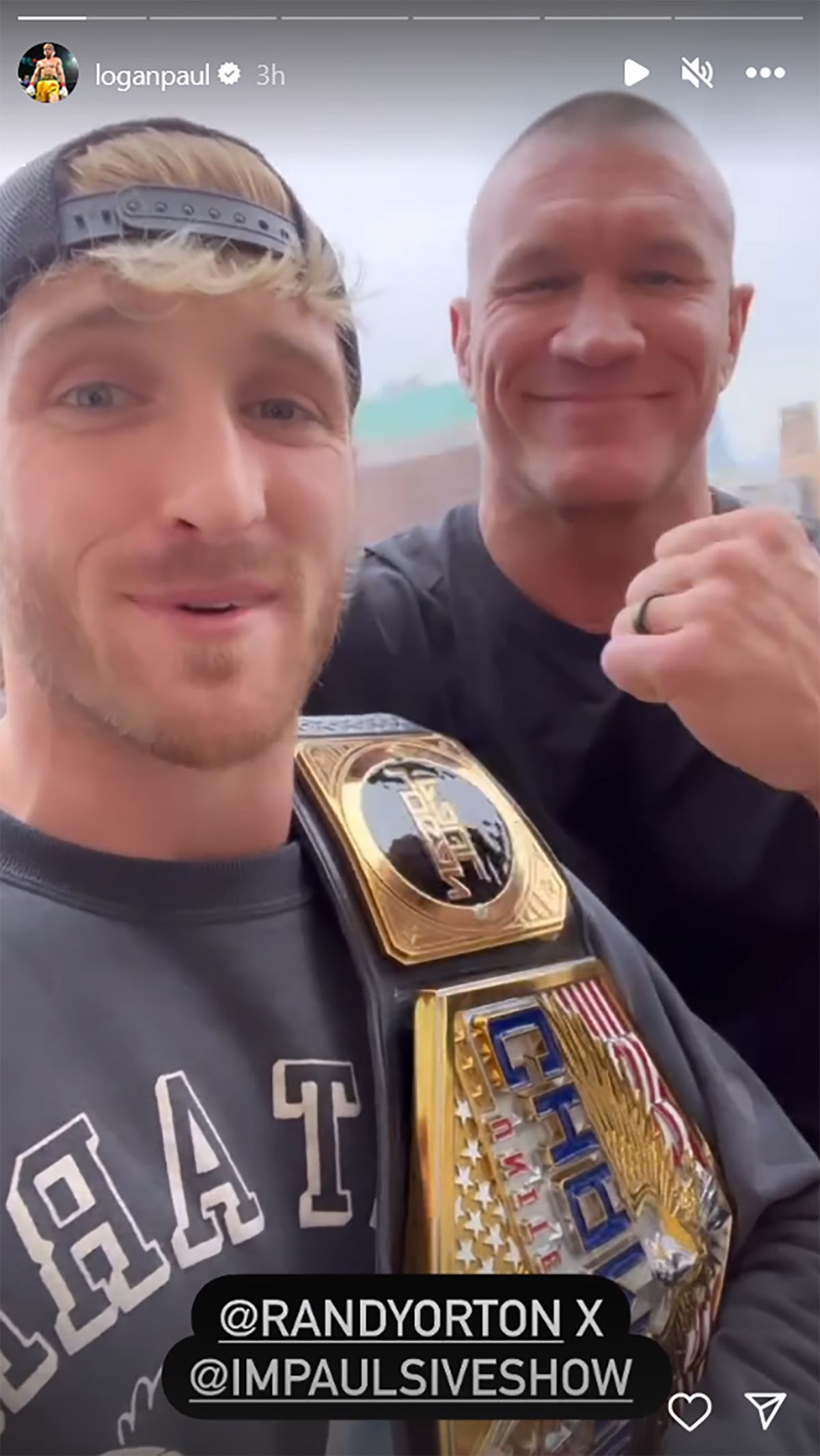 Logan Paul and Randy Orton on Instagram Stories