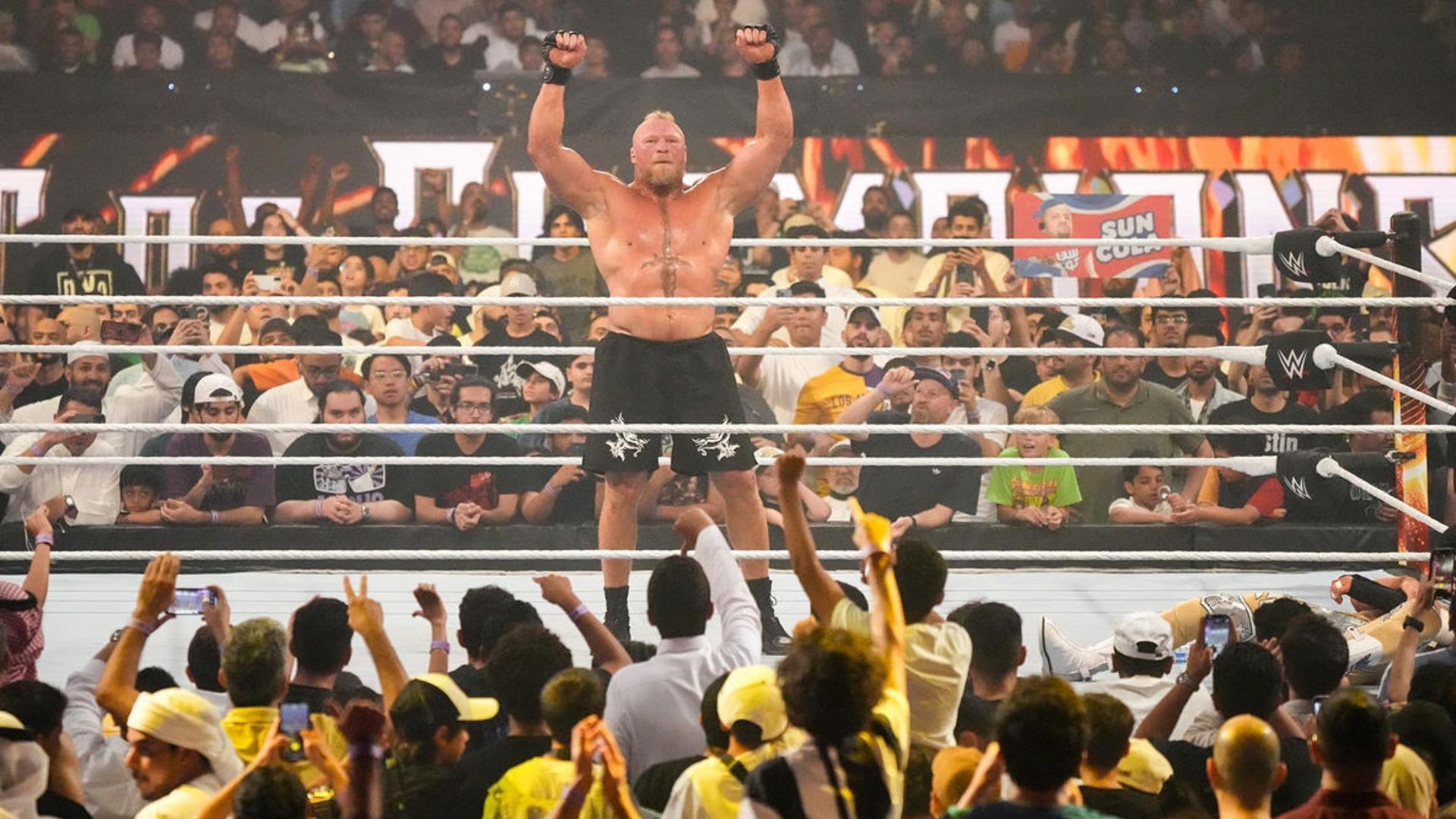 Brock Lesnar had another memorable year.