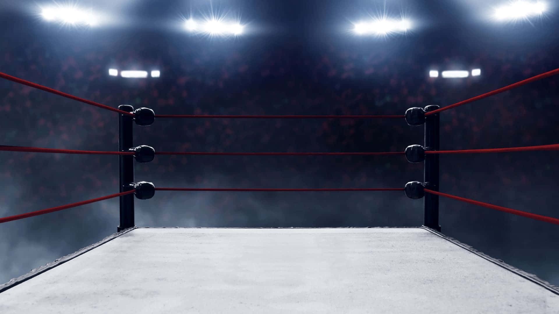 Standard pro wrestling ring on display inside arena with crowd