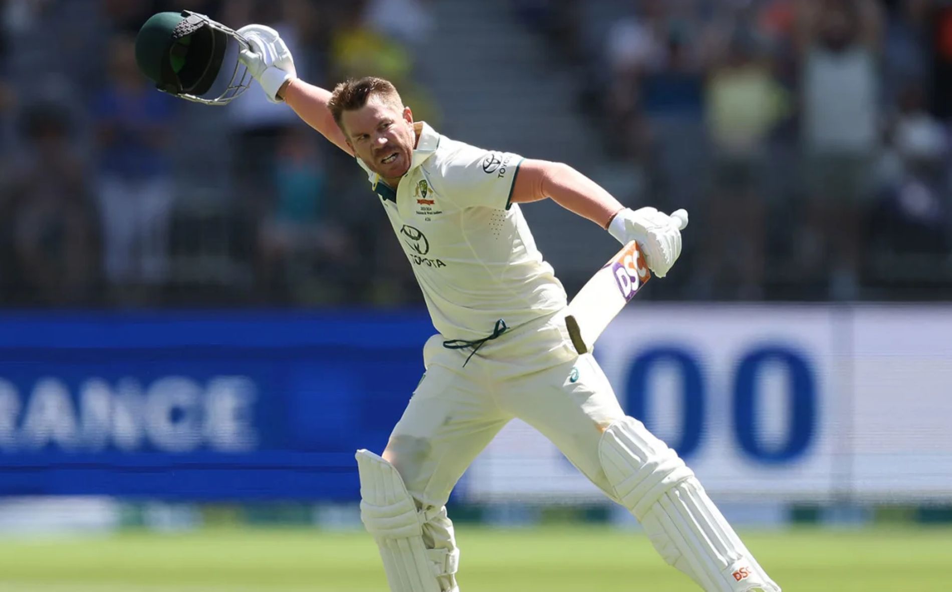 Warner celebrates after scoring his 26th Test century.