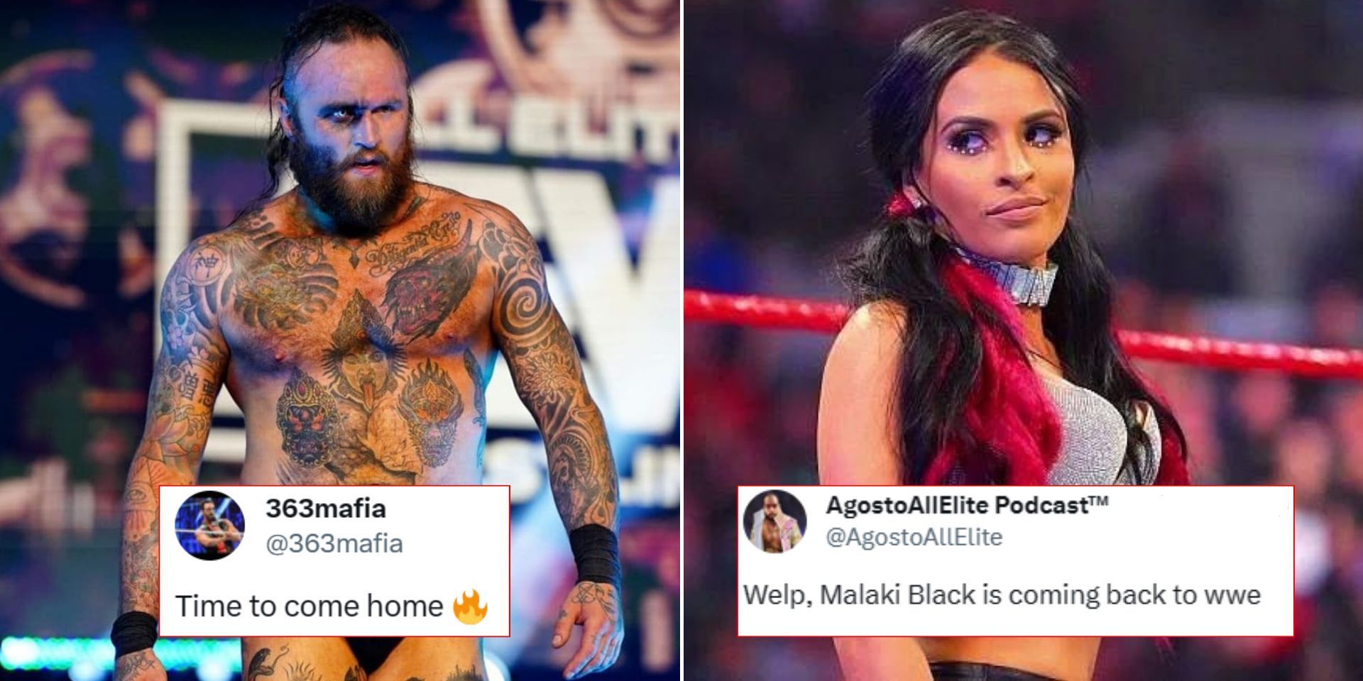 The WWE Universe has reacted to recent Zelina Vega news