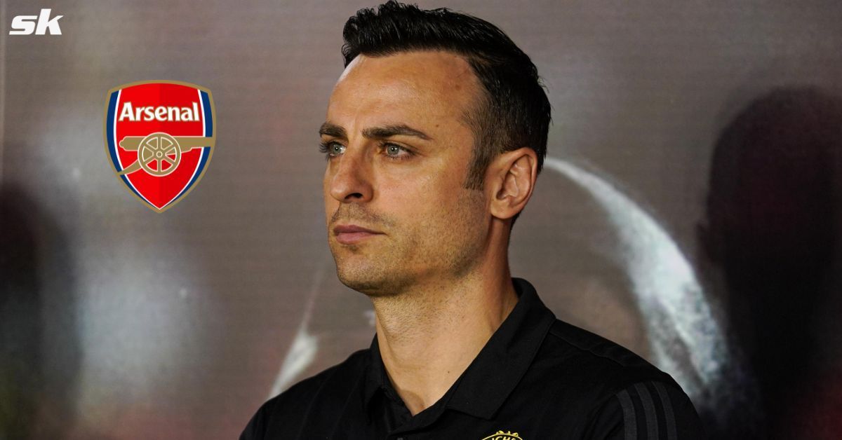 Dimitar Berbatov gave a glowing verdict of Arsenal