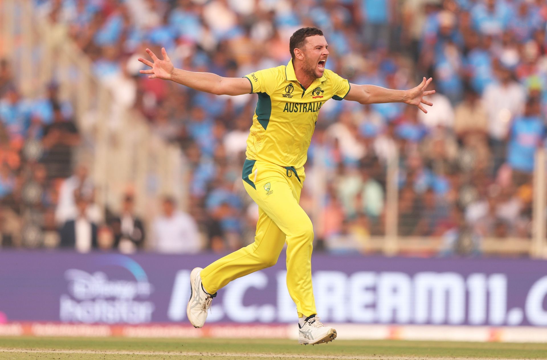 Josh Hazlewood celebrates a wicket during the 2023 ODI World Cup. (Pic: Getty Images)