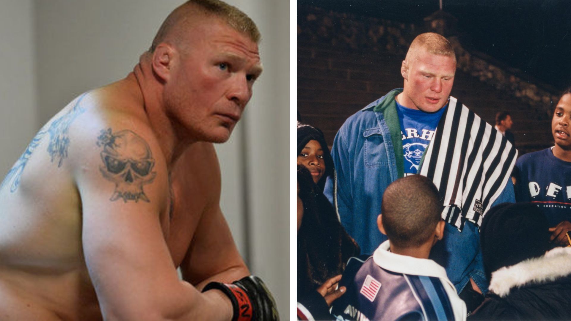 Taking a look at Brock Lesnar