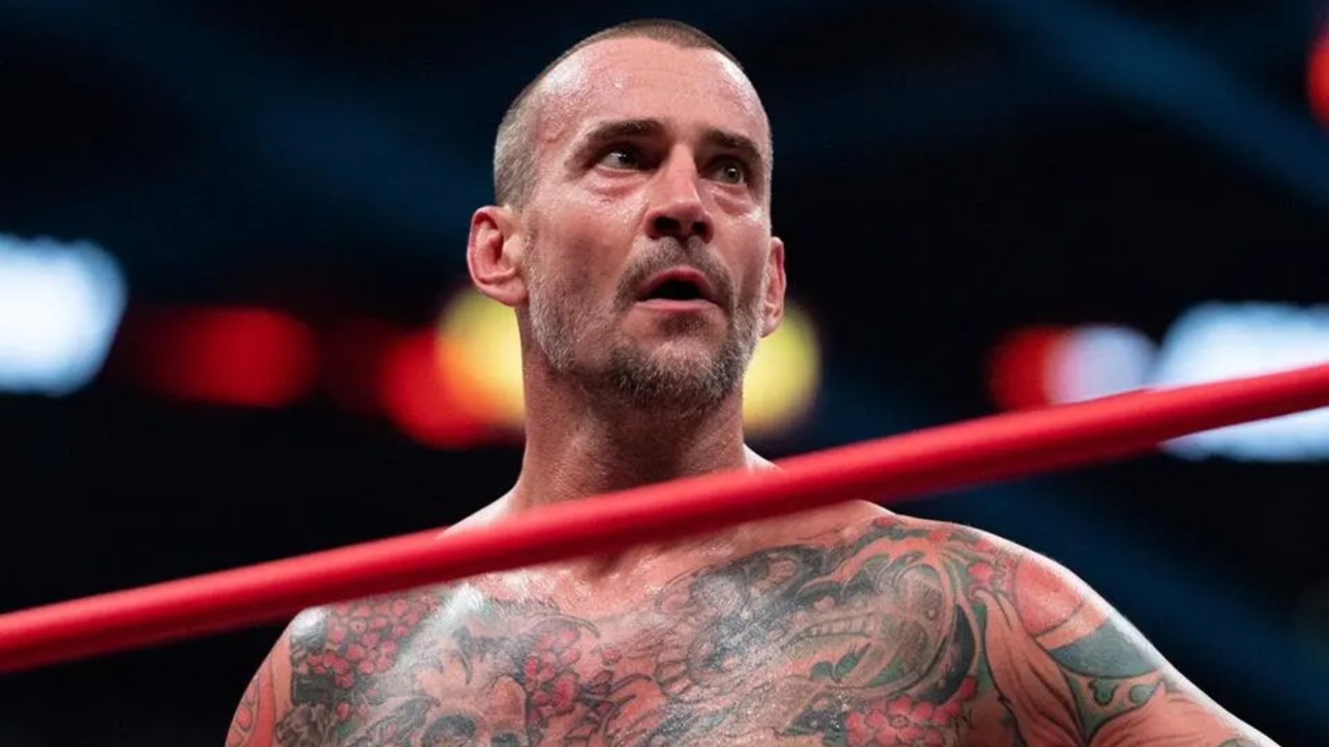 CM Punk is back in WWE after almost a decade