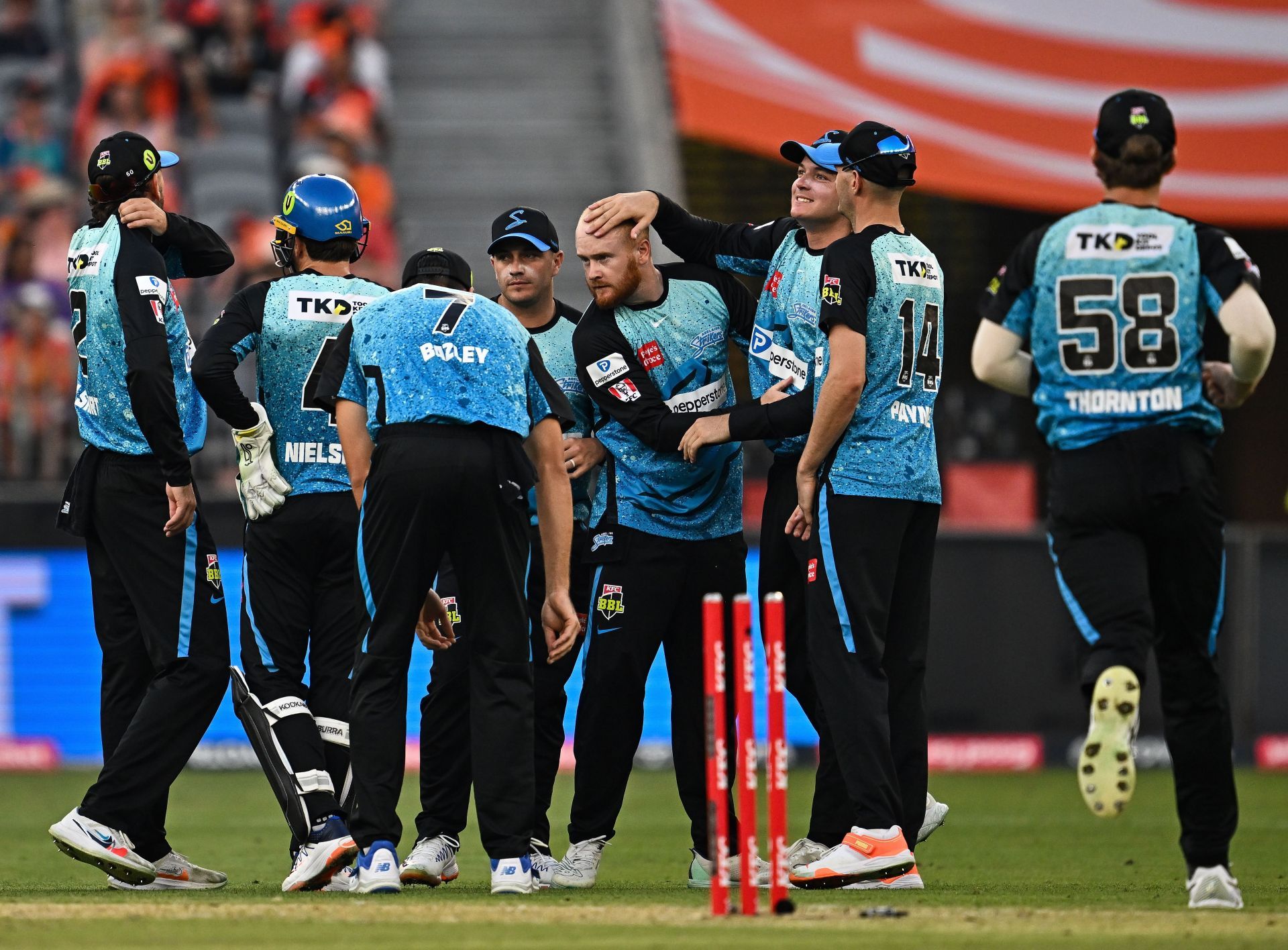 BBL - The Knockout: Perth Scorchers v Adelaide Strikers