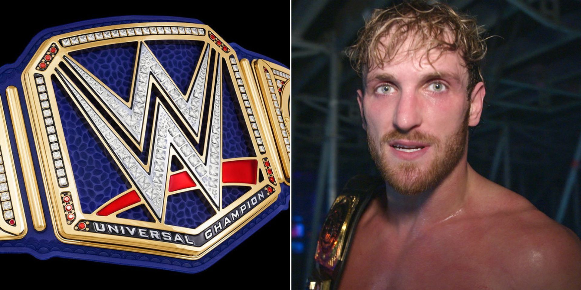 A former Universal Champion took a shot at Logan Paul