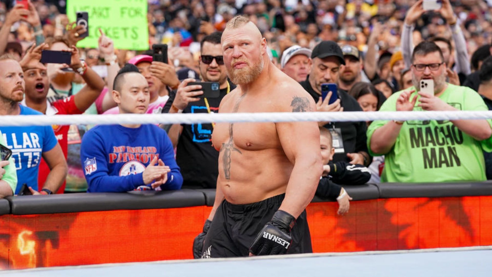  Brock Lesnar during a match in WWE