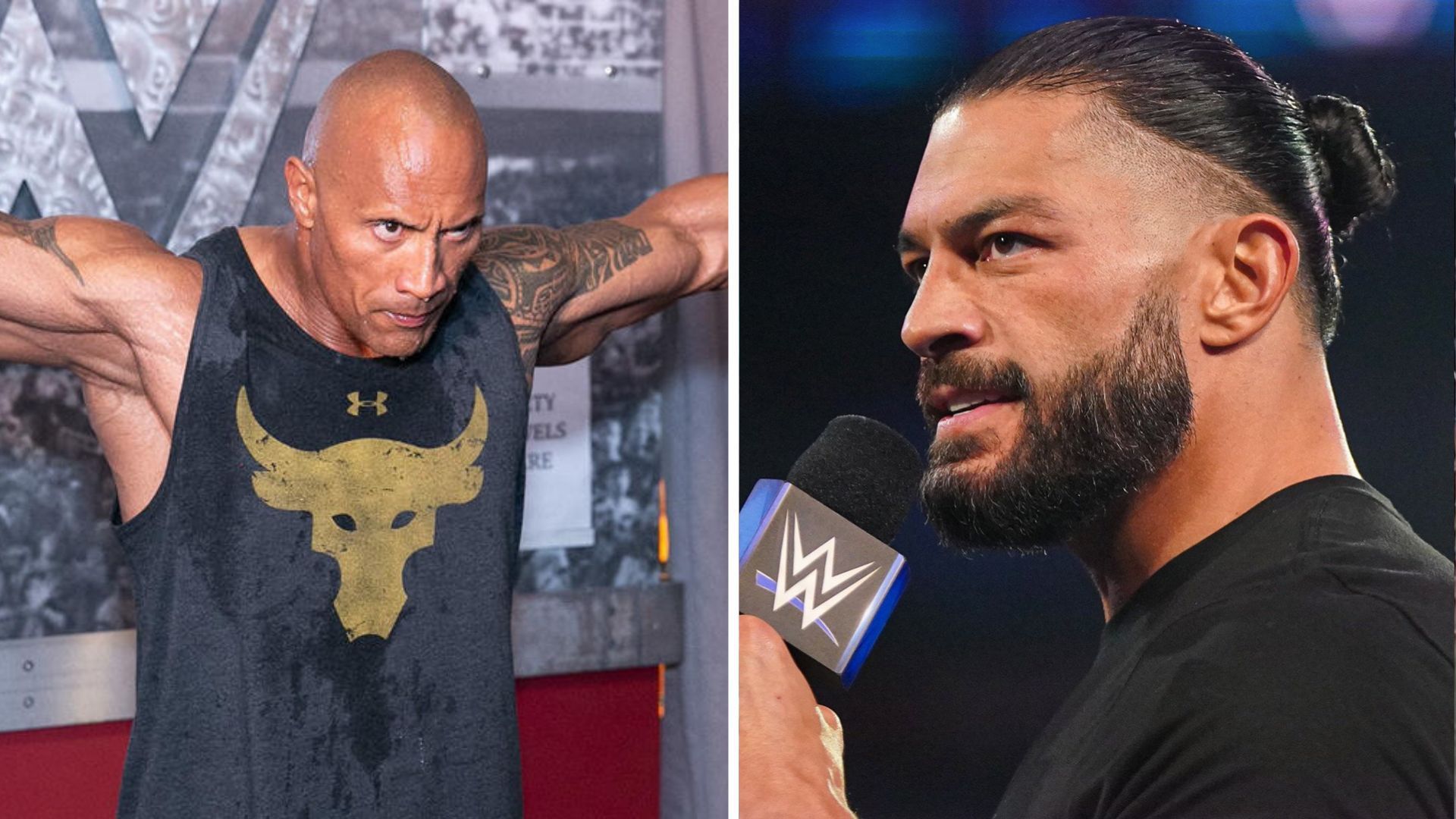 The Rock on the left and Roman Reigns on the right (Image credits: WWE.com)