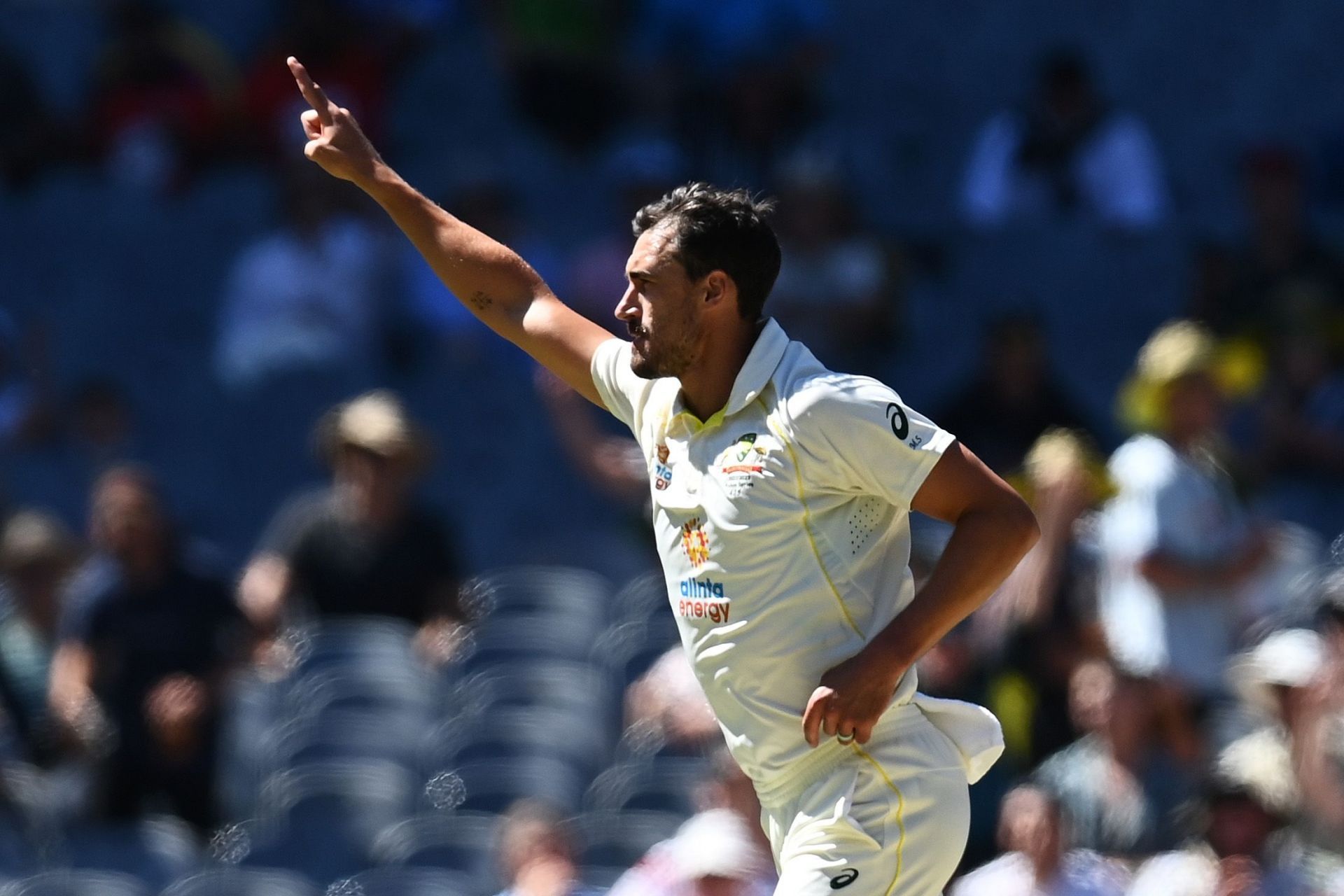 Mitchell Starc celebrates a wicket against England