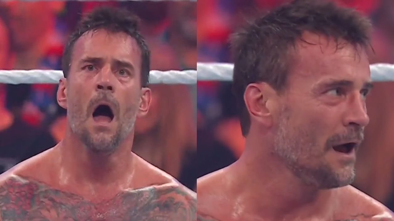 CM Punk in the Royal Rumble (via WWE