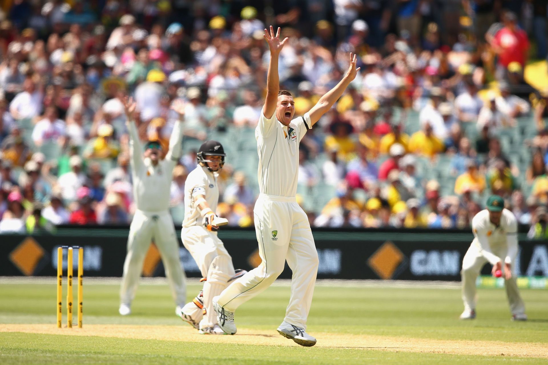 Australia v New Zealand - 3rd Test: Day 1