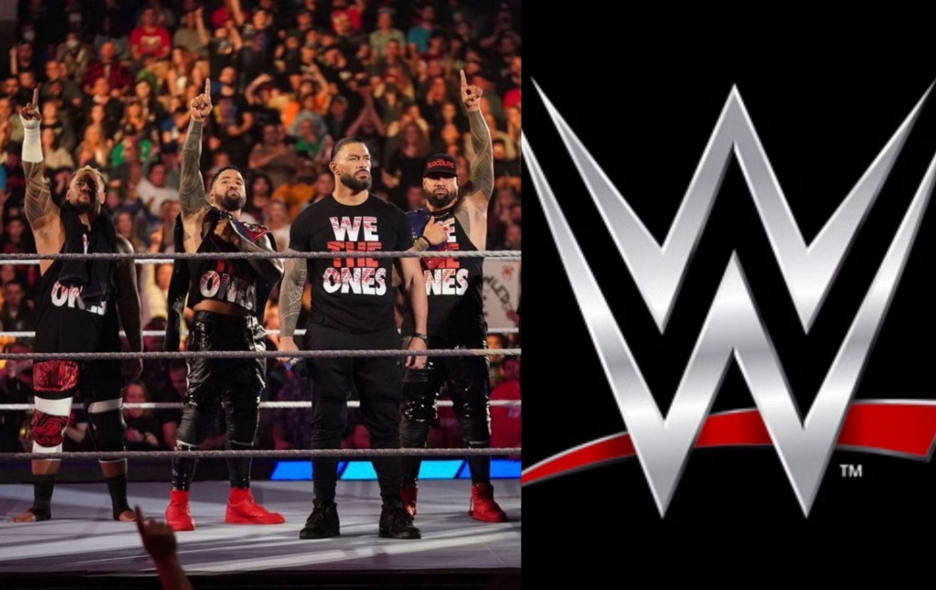 WWE हॉल ऑफ फेमर रिकिशी ने फैंस को दिया संदेश