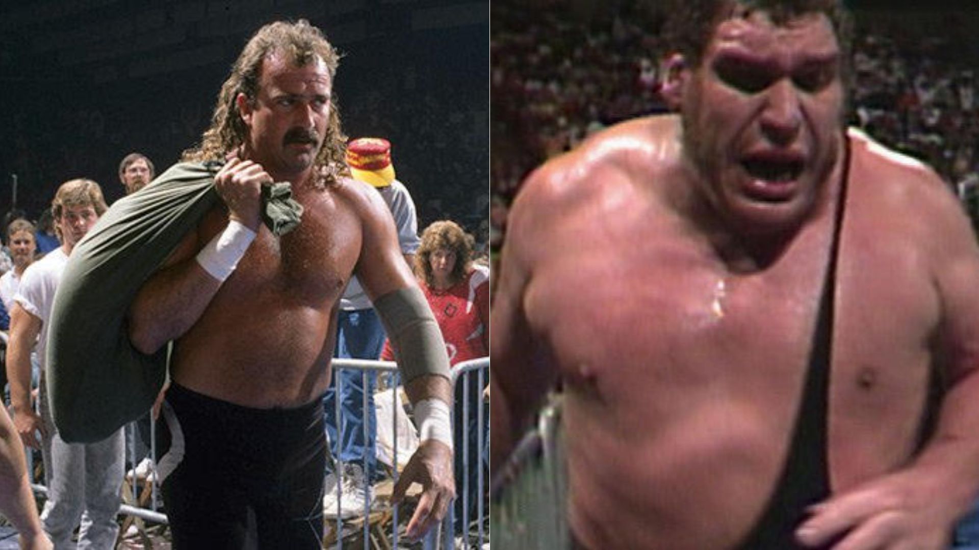 Jake Roberts (left); Andre the Giant (right)