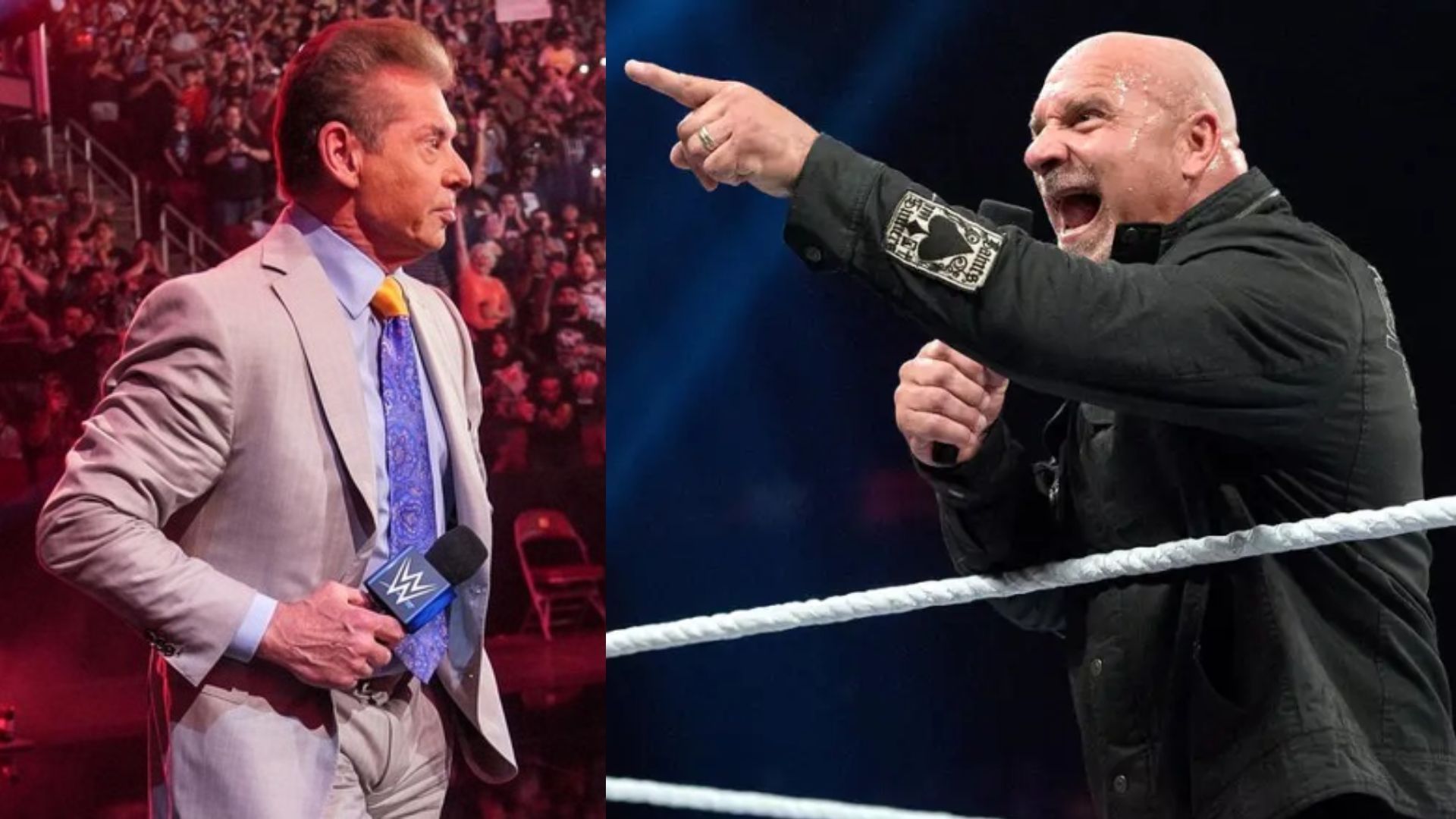 Vince McMahon hired Goldberg as one of WWE