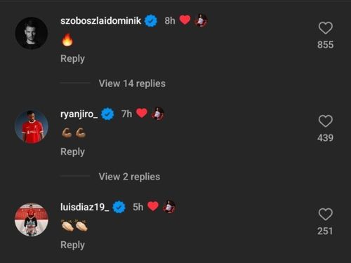 Comments on Cody Gakpo's post