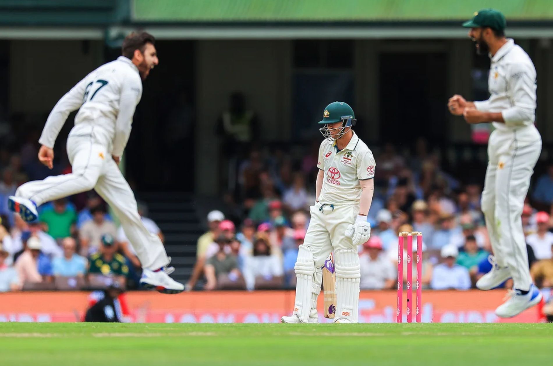 David Warner could not capitalize on an early reprieve on the opening day in Sydney.